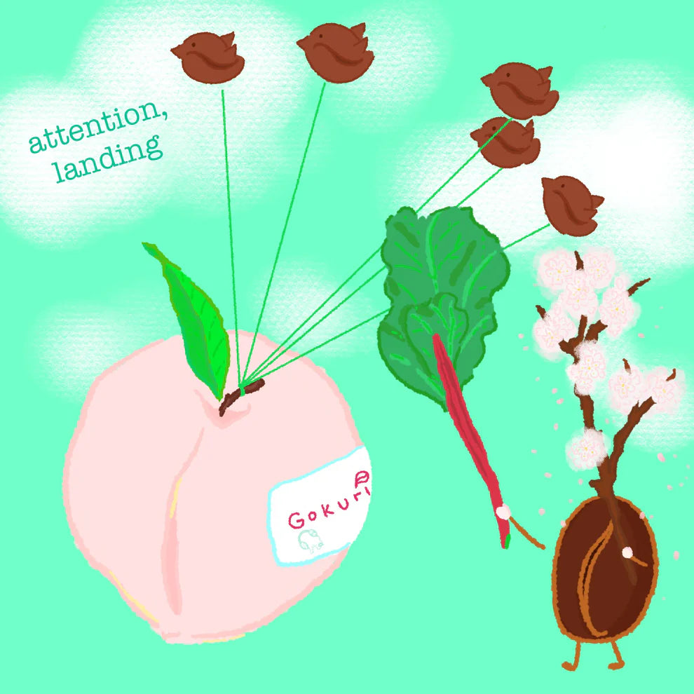 Pink Bourbon Peach Finca El Paraiso