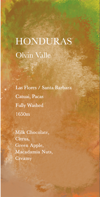 HONDURAS Olvin Valle