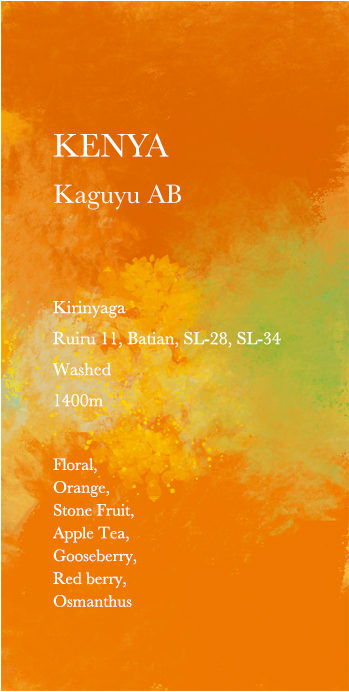 KENYA / Kaguyu AB　ケニア　カグユ AB