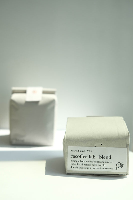 Limited Edtition - CACoffeeLab x blend kyoto