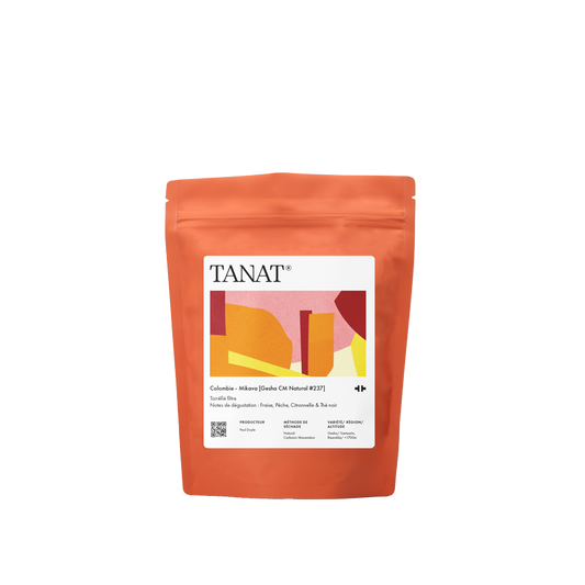 Ethiopia – Chelbesa [Washed]